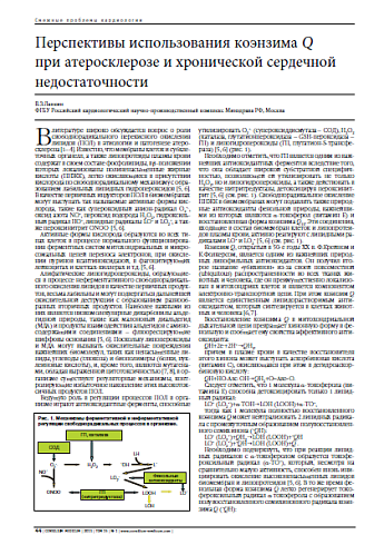 Перспективы использования коэнзима Q  при атеросклерозе и хронической сердечной недостаточности