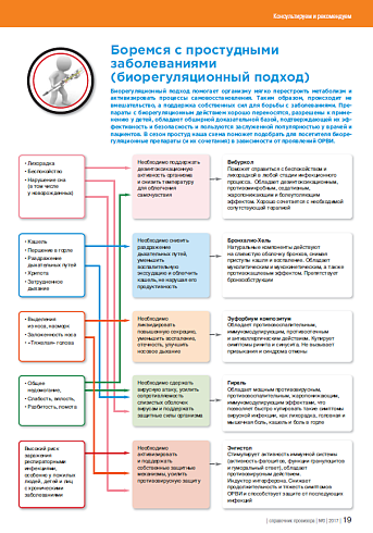 Боремся с простудными  заболеваниями  (биорегуляционный подход)
