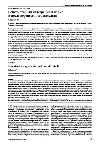 Сенсомоторная интеграция в норме  и после перенесенного инсульта