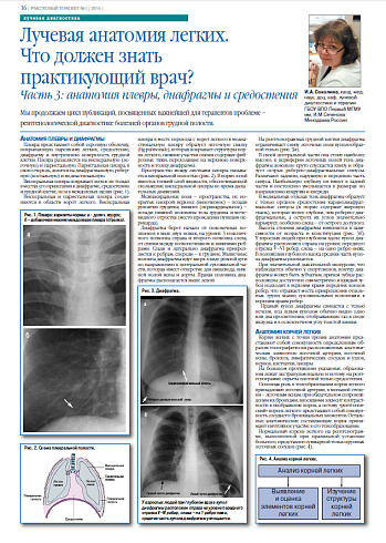 Лучевая анатомия легких. Что должен знать  практикующий врач? Часть 3: анатомия плевры, диафрагмы и средостения