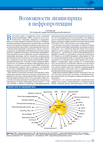 Возможности лизиноприла в нефропротекции