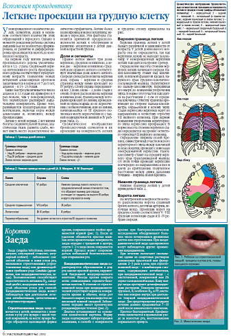 Легкие: проекции на грудную клетку