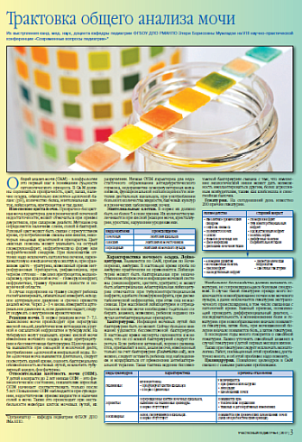 Трактовка общего анализа мочи