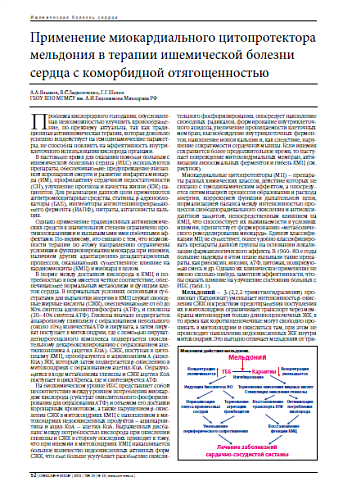 Применение миокардиального цитопротектора мельдония в терапии ишемической болезни сердца с коморбидной отягощенностью