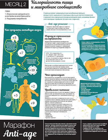 Калорийность пищи и микробное сообщество