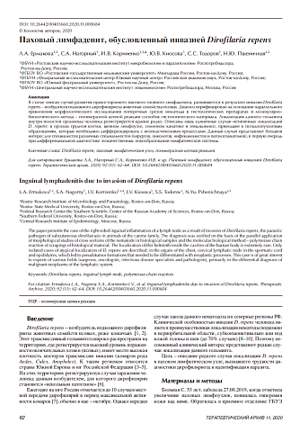 Паховый лимфаденит, обусловленный инвазией Dirofilaria repens
