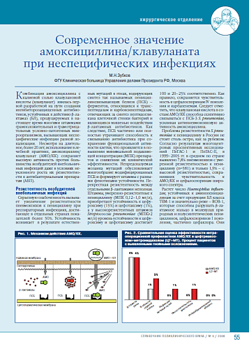 Современное значение амоксициллина/клавуланата при неспецифических инфекциях
