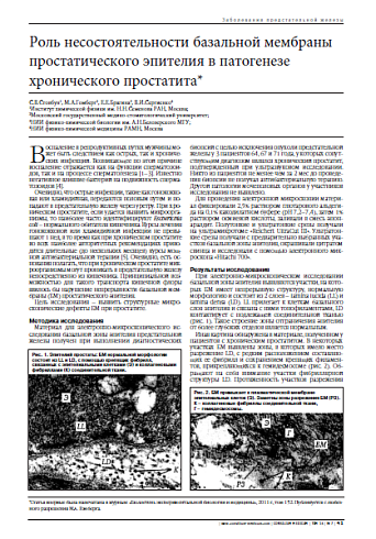 Роль несостоятельности базальной мембраны простатического эпителия в патогенезе  хронического простатита*
