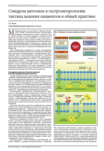 Синдром цитолиза в гастроэнтерологии: тактика ведения пациентов в общей практике